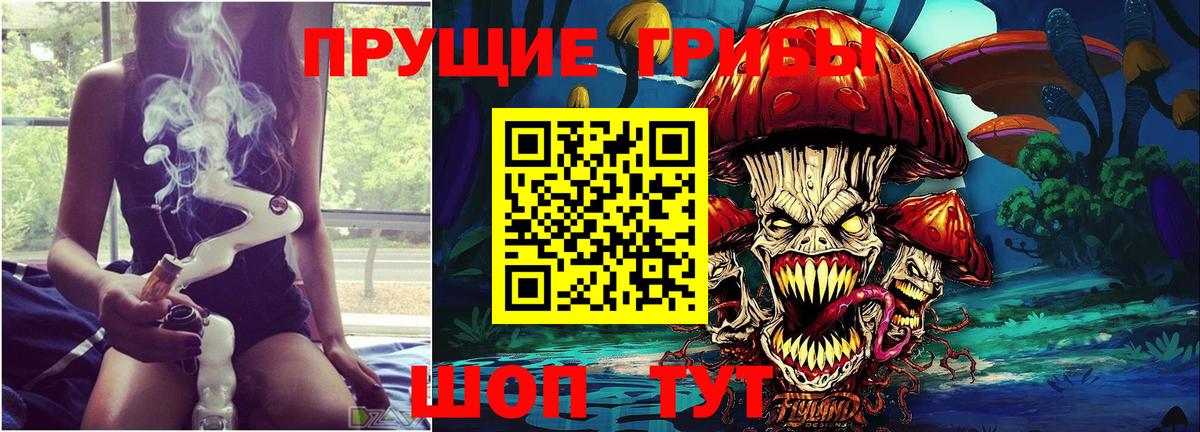 Галлюциногенные грибы Psilocybine cubensis  купить наркотики цена  Курчалой  Вход с VPN 