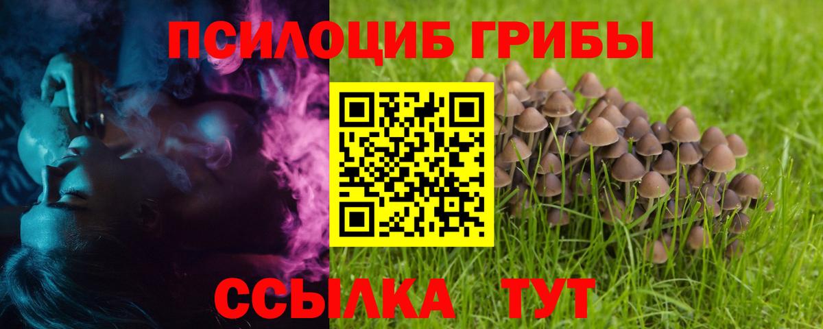 Псилоцибиновые грибы ЛСД Курчалой